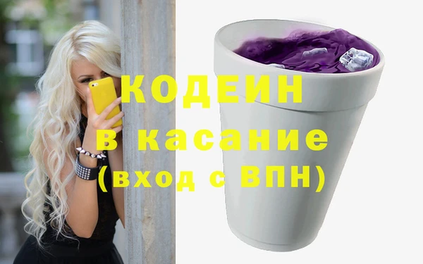 гашик Алексин