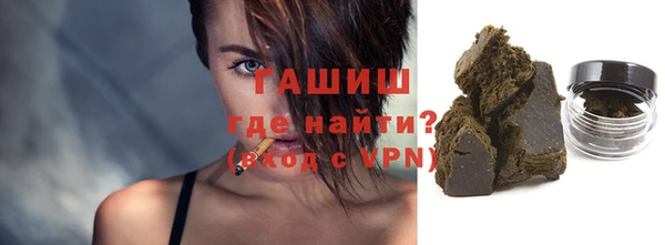 индика Алзамай