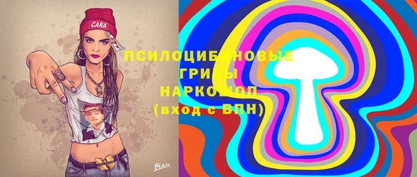 индика Алзамай